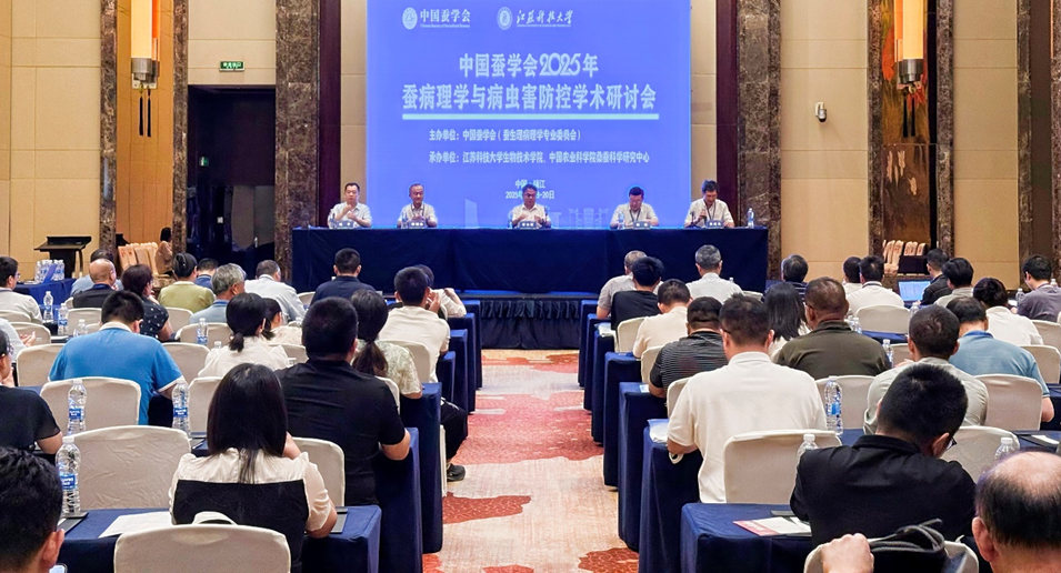 1753255453142640.png 图片1.png