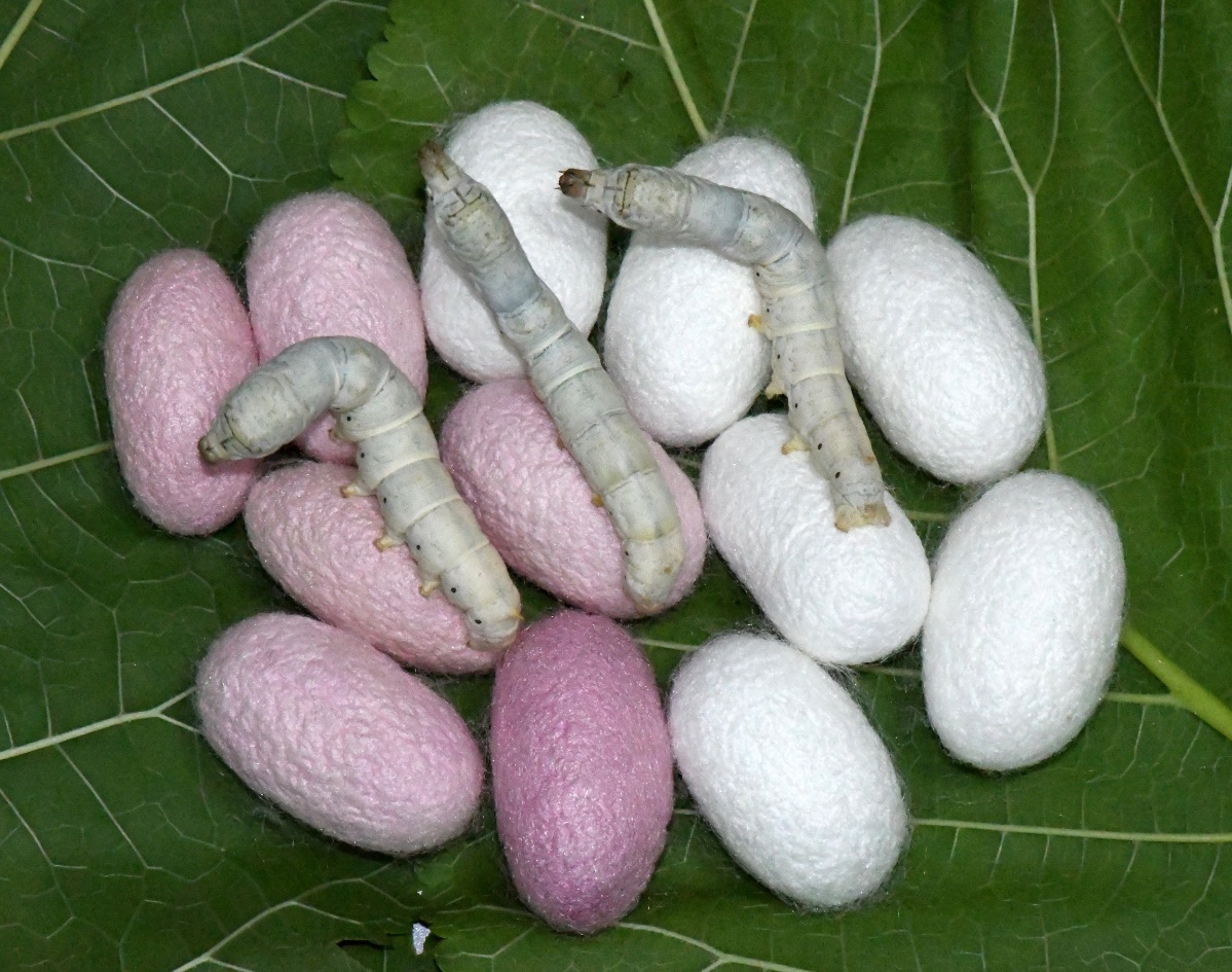 1691463614855956.jpg 图片2.jpg