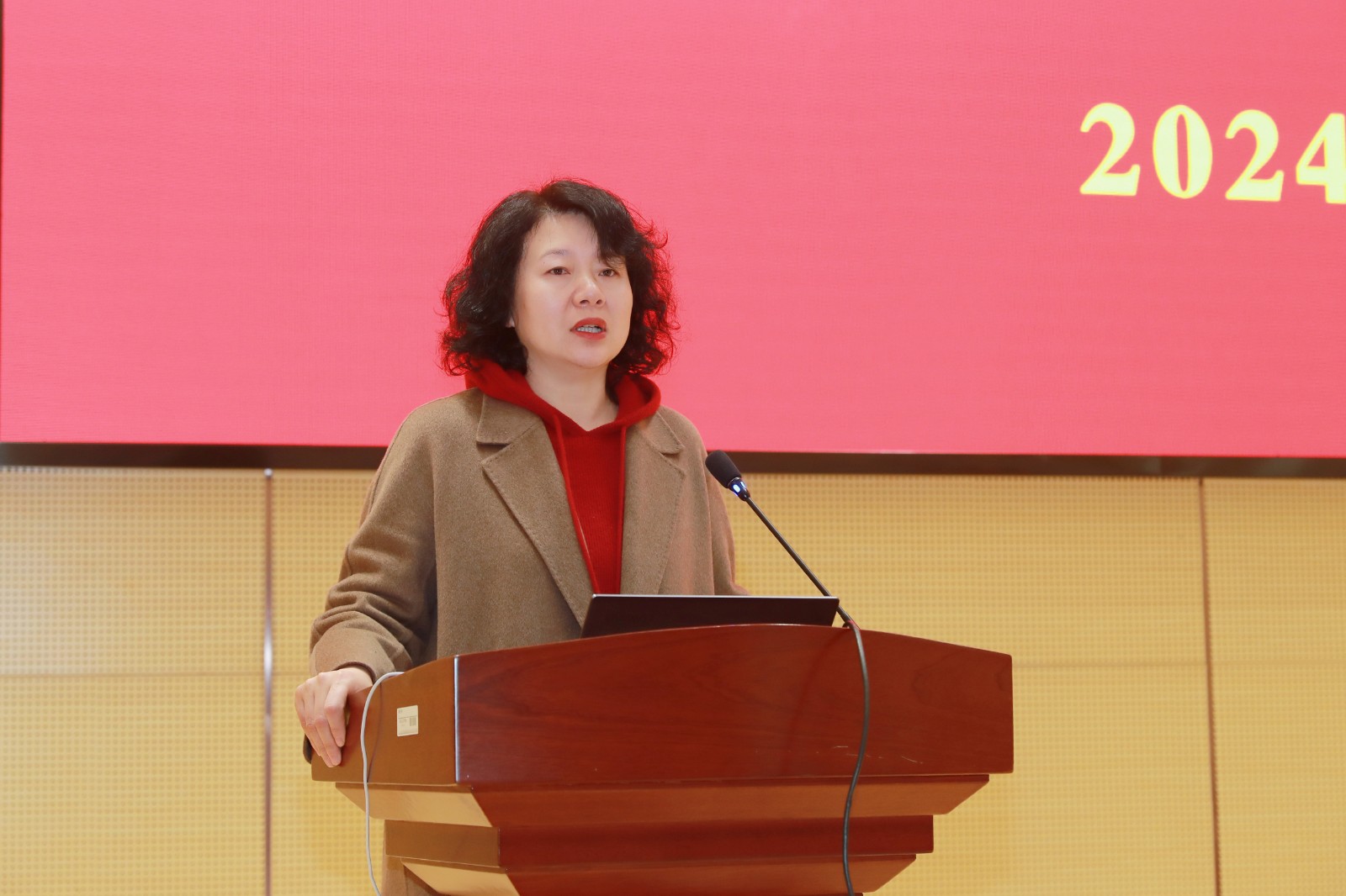 1735375056438565.jpg 1735375056438565.jpg