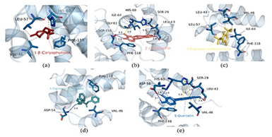 1723555914746363.png image.png