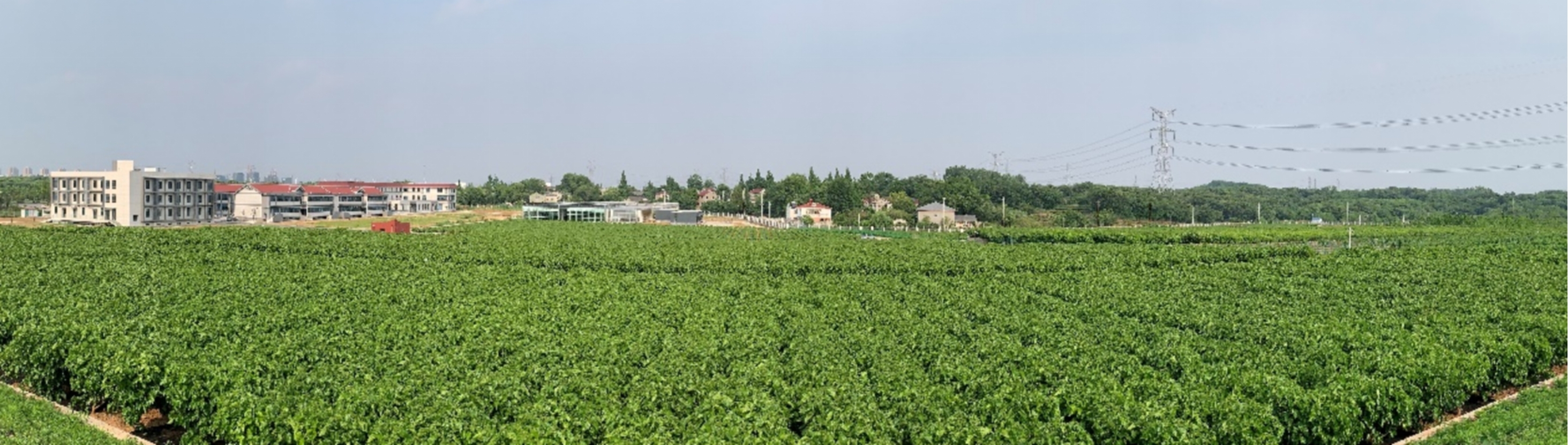 1662429415370114.jpg 图片1.jpg