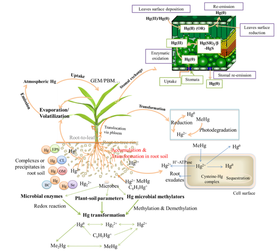 1651472378745095.png 1.png