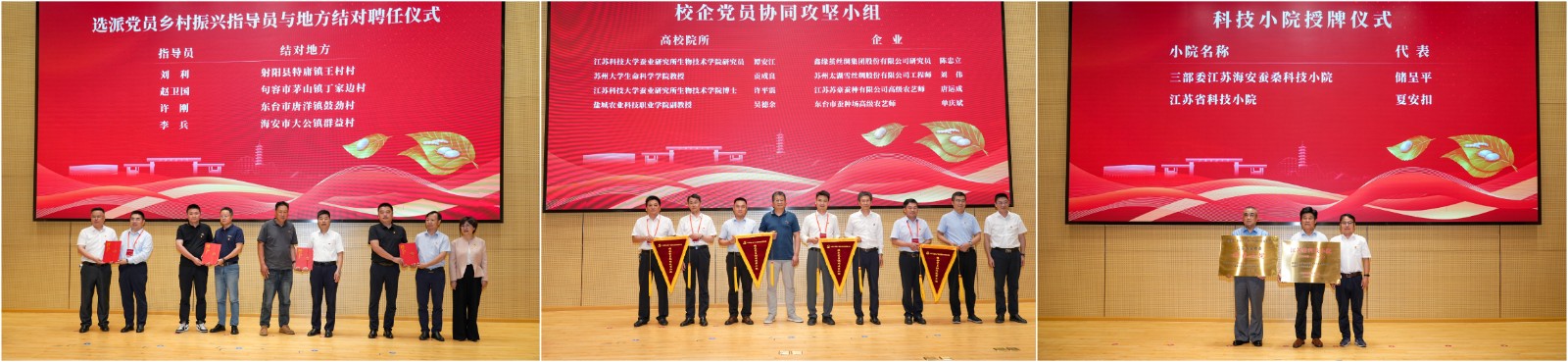 1749608465683033.jpg 1749608465683033.jpg